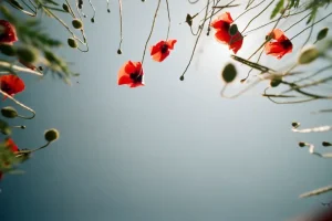 LOS PUNTOS QUE SIEMPRE QUISE SABER. Por Lucía Calvo.
